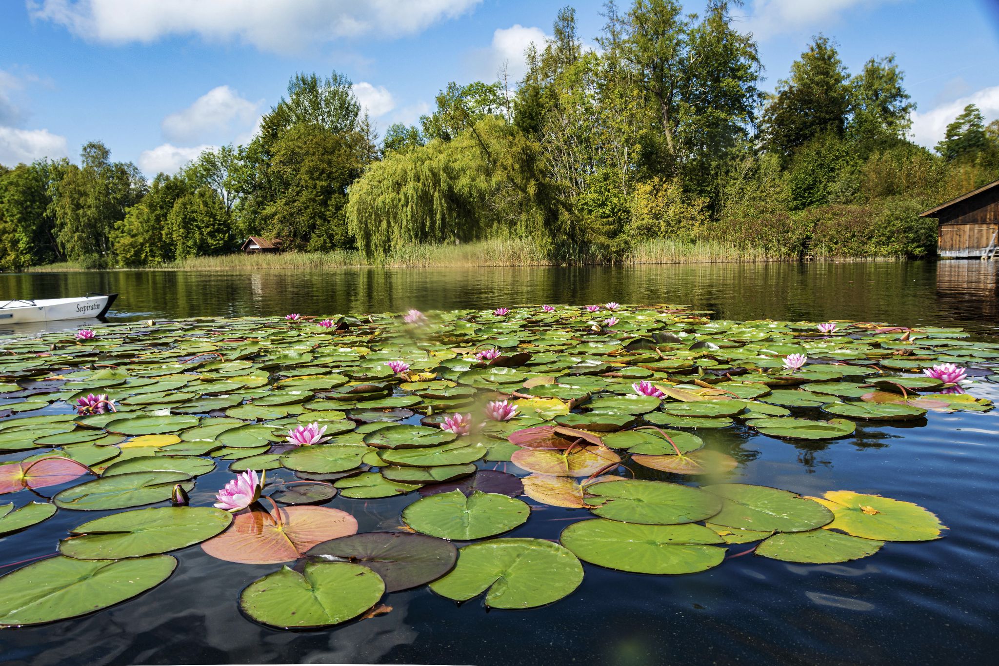 Kajaktour Staffelsee 12.09.2021
